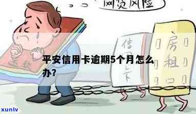 平安信贷逾期5个月-平安信贷逾期5个月会怎样
