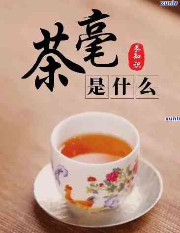 茶茶的含义是什么，解密『茶茶』：含义、由来与文化背景