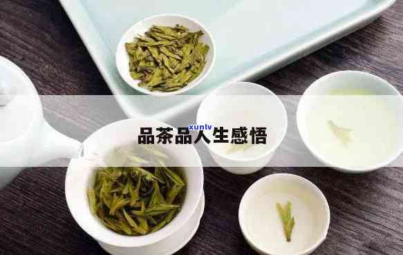 z茶茶的茶言茶语，品味生活，感悟茶道——探究'z茶茶的茶言茶语'