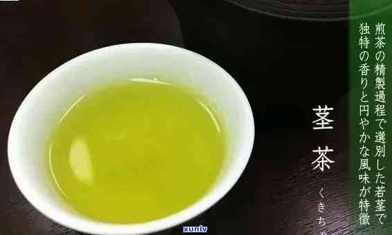 茶茶是什么，探秘茶茶：一种神秘的饮品，你了解它吗？