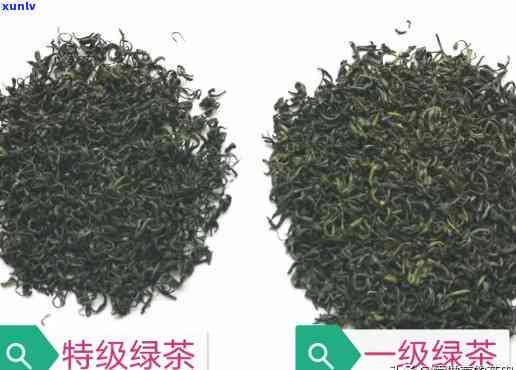 茶叶去哪买比较好？详细购买指南！