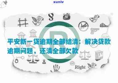 平安贷款逾期起诉：还款后需全额结清，调查解决  