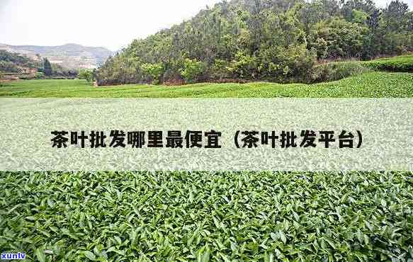 哪里批发茶叶更便宜-哪里批发茶叶更便宜的