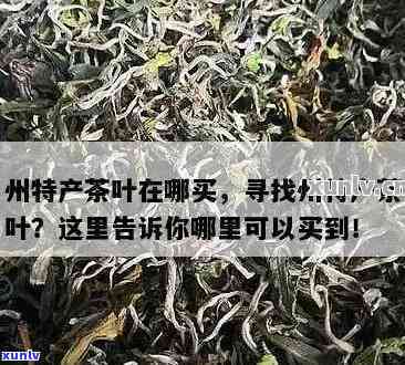 州哪里买茶叶便宜，寻找性价比高的茶叶？州这些地方不容错过！