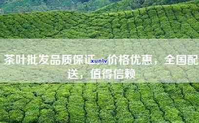 在哪里批发茶叶便宜-在哪里批发茶叶便宜又好