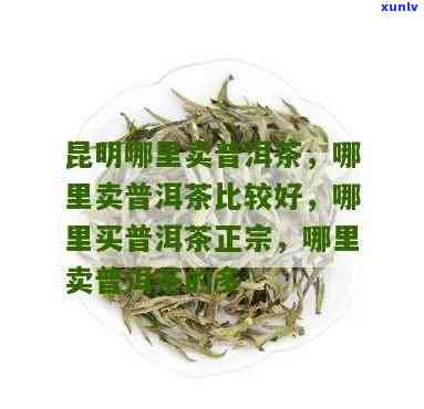 昆明哪里买茶叶便宜又好吃？求推荐！