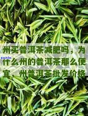 州哪里茶叶更便宜-州哪里茶叶更便宜的