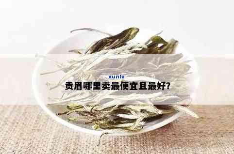 贡眉茶叶哪里更便宜-贡眉茶叶哪里更便宜的