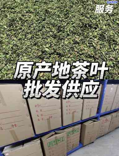 去哪里批发茶叶便宜-去哪里批发茶叶便宜又好