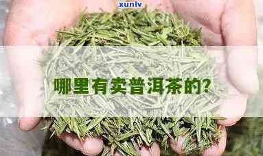 南哪里卖茶叶便宜又好卖？求推荐！