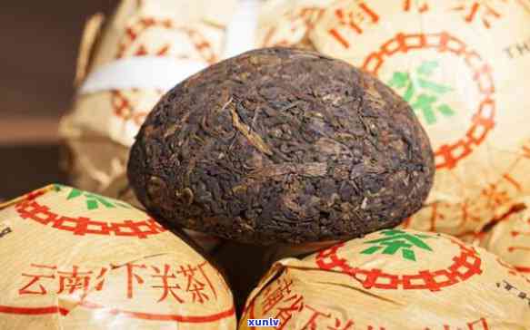 下关沱茶7653：价格与特点全解析