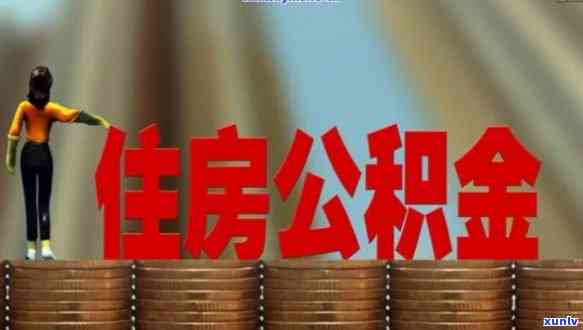 苏州玉石市场手串价格全解：如何选购、品质判断与市场行情分析