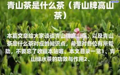 高青山茶场茶叶是什么品种，探寻高青山茶场的神秘茶叶品种