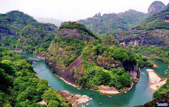 武夷山九曲韵枞茶怎么样？探秘武夷山市九曲韵枞茶业与优质茶叶的秘密