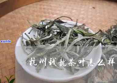 州钱龙茶叶怎么样-州钱龙茶叶