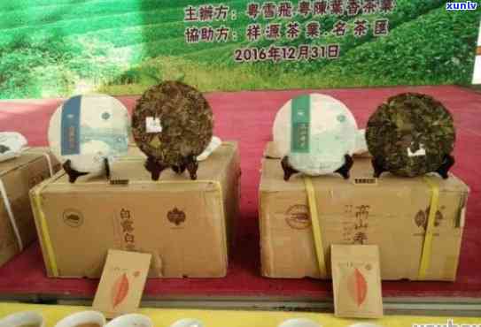 一站式选购好茶！东莞东城茶叶场，品质保障，品种齐全