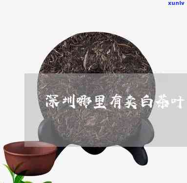 深圳哪里卖茶叶的多-深圳哪里卖茶叶的多一点