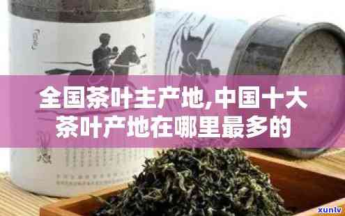 哪个产茶叶最多-哪个产茶叶最多的地方