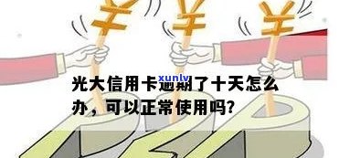 未收到信用卡短信提醒逾期后果全解析：如何处理、影响信用评分及解决方案