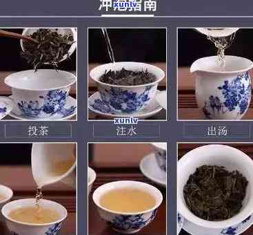 哪种茶叶泡的次数多-哪种茶叶泡的次数多一点