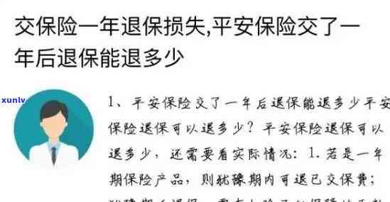 平安保险逾期不缴纳罚款，平安保险逾期未缴罚款，可能面临进一步处罚