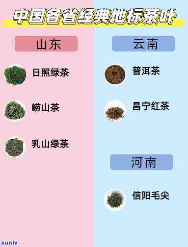 中国哪个省茶叶最出名？探讨各地茶文化与知名