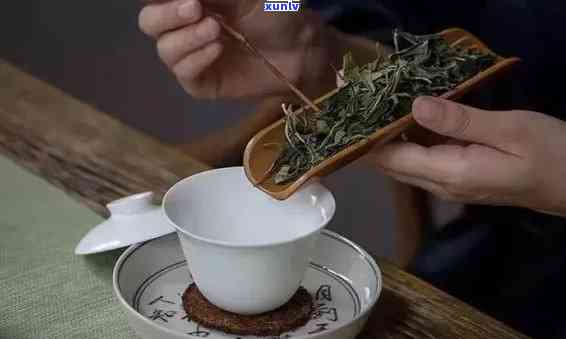 一杯香茶叶怎么样？品尝纯正绿茶的味道！