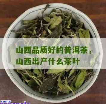 山西出产啥茶叶，探寻山西的茶文化：揭秘特色茶叶品种