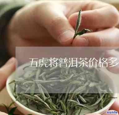 五虎茶叶质量怎么样呀，五虎茶叶品质如何？一份详细的评测报告