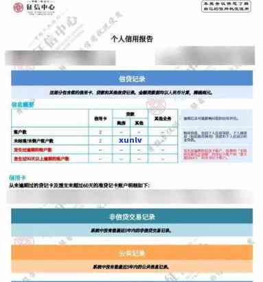 探究2021年老班章茶王的古树普洱茶价格及其独特魅力