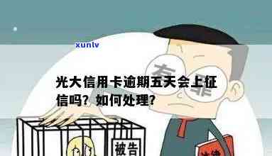 光大银行逾期五天后，多久能恢复正常记录？