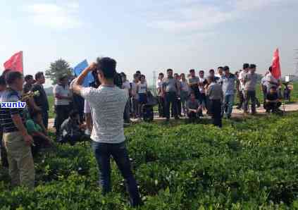 新乡茶叶市场在哪儿-新乡茶叶市场在哪里