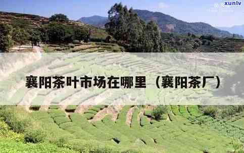 寻找襄阳茶叶包装盒场：详细地址与位置指南