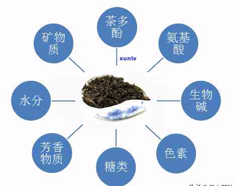 茶叶中的主要成分及其含量与种类全解析