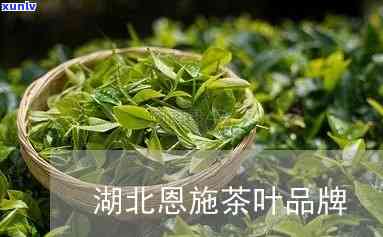 湖北恩茶叶怎么样-湖北恩茶叶