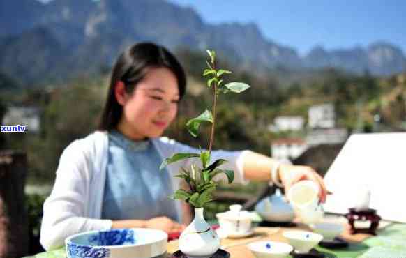 卖茶叶的女人：身份含义解析与内在复杂性探讨