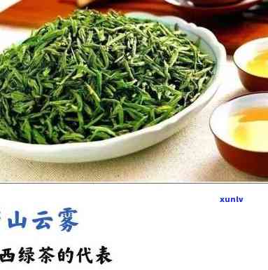 黄山有名茶叶品种全解：究竟什么茶最出名？