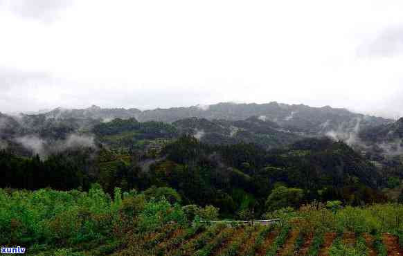 利川毛坝旅游景点全介绍：特色景观与游玩攻略