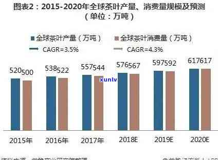 大茶叶深度分析报告及图表展示