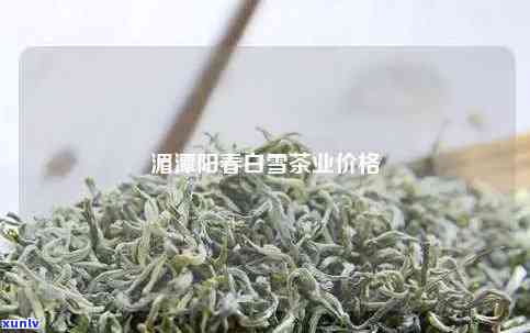 生木瓜与普洱茶的完美融合：煮法、功效以及适宜饮用时刻解析