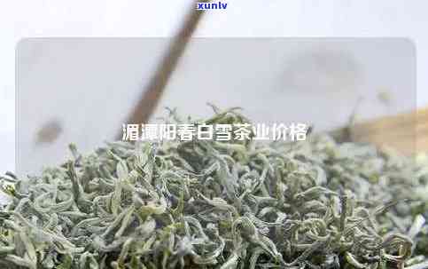 阳春白雪茶叶，探索高品质生活：阳春白雪茶叶的茶叶故事