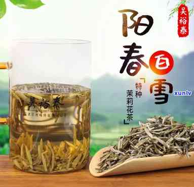 阳春白雪茶叶，探索高品质生活：阳春白雪茶叶的茶叶故事