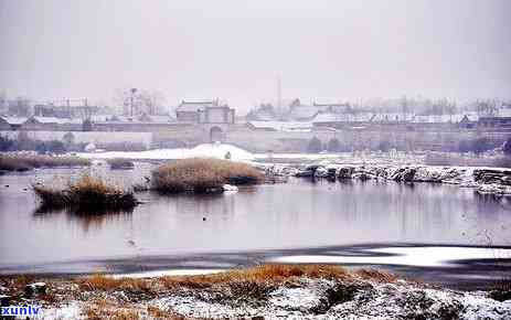 阳春白雪多少钱一瓶？请给出详细价格信息