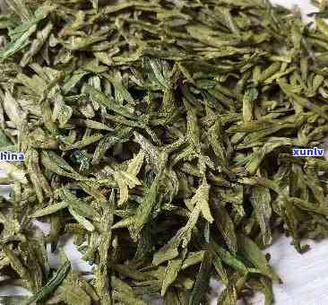 龙芽茶叶属于什么茶？详解其类别与品种