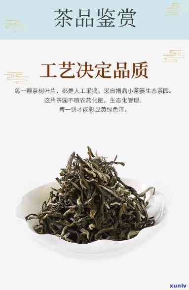 茉莉龙芽茶叶怎么样-龙芽茶叶属于什么茶