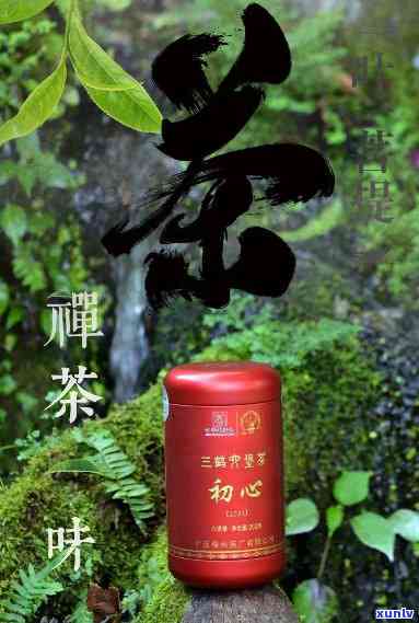 中狮御峰茶叶怎么样-中狮御峰茶叶怎么样啊