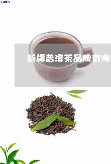 新疆茶叶批发哪里进货更便宜？