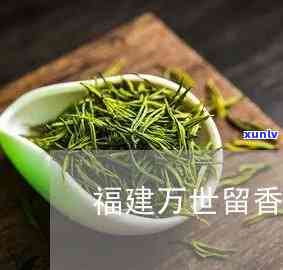 万世留香茶叶怎么样-万世留香茶叶怎么样好喝吗