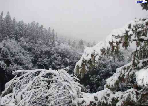 重庆三峡飘雪，冬日仙境：重庆三峡飘雪的美丽景色