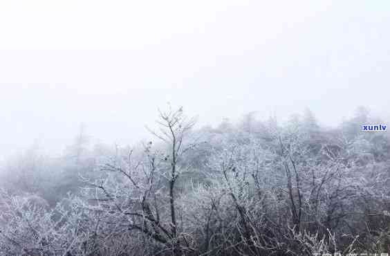 重庆三峡飘雪，冬日仙境：重庆三峡飘雪的美丽景色